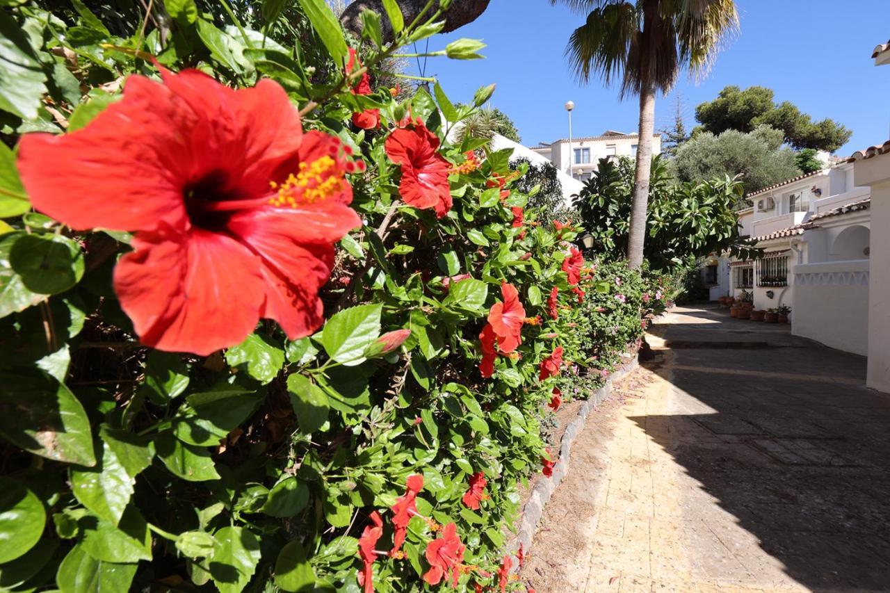 Quaint 2 Bedroom Townhouse With Pool Close To Sea! 贝纳尔马德纳 外观 照片